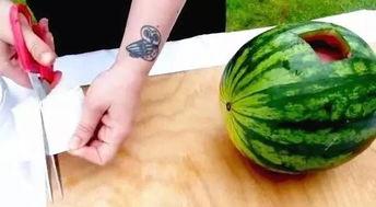 最近文安吃瓜,揭秘近期热门事件背后的真相与笑料