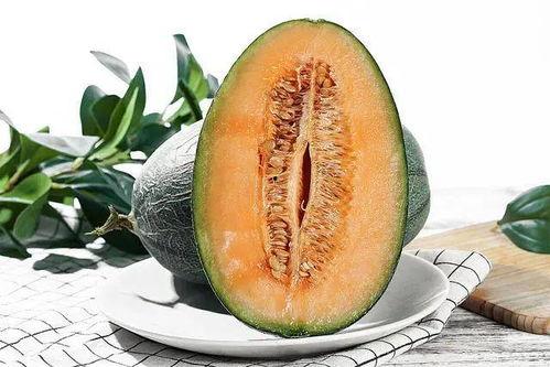 梦见女儿吃哈密瓜很甜,女儿品尝甜蜜哈密瓜的温馨瞬间