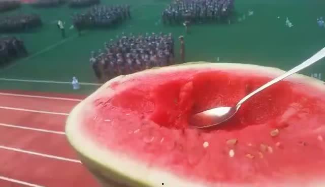 吃瓜学长表白,校园爱情故事甜蜜上演