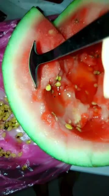 吃瓜不吐籽11,一场关于瓜果与人生的趣味对话