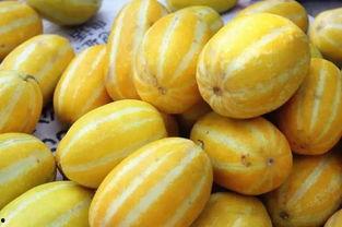 慈溪阮欣吃瓜,揭秘网红吃瓜背后的故事