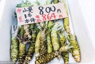 鹤千渡吃瓜,揭秘娱乐圈的“吃瓜”风云