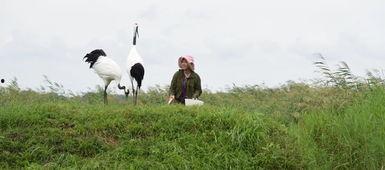 鹤千渡吃瓜,揭秘娱乐圈的“吃瓜”风云