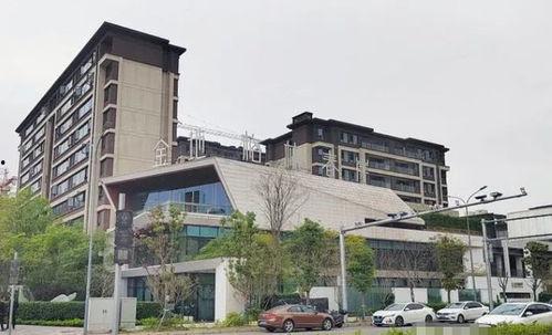 吃瓜销售楼房翰林卖瓜