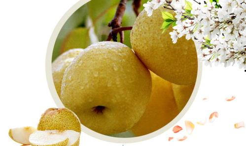 怀孕吃酥瓜,酥瓜，营养美味两不误