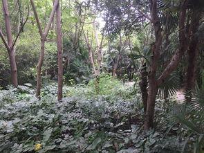 泰州柳园吃瓜,清凉一夏，味蕾狂欢