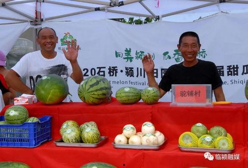 临颍吃瓜大赛,临颍吃瓜大赛激情上演，全民瓜王争霸赛况一览”