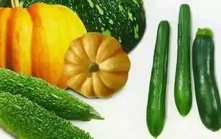 瓜要怎样吃才好,解锁最佳食用之道