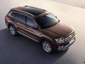 大众吃瓜小说,揭秘大众吃瓜小说背后的故事