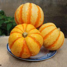 小桔瓜迷你小金瓜怎么吃,美味多变的食用指南