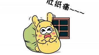 吃瓜群众16,一场全民参与的娱乐盛宴