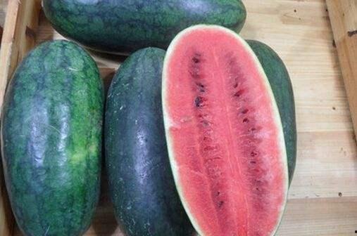 海南人吃瓜地方,瓜果飘香，品味热带风情