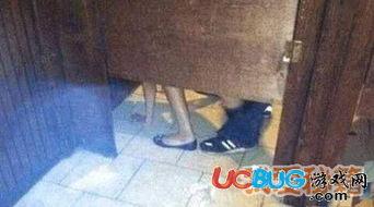 马桶吃瓜视频大全,揭秘热门视频背后的趣味与真相