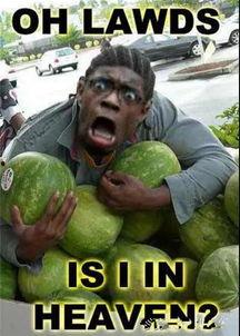 消防队吃瓜,揭秘消防队里的吃瓜趣事