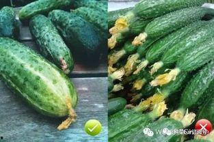 吃花不吃瓜,探寻独特的花食文化