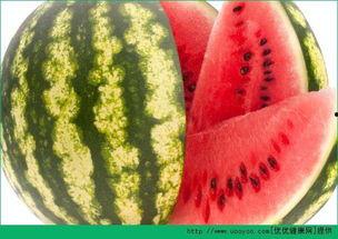 可以天天吃瓜吗,健康生活新选择